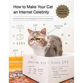 Patricia Carlin: How to Make Your Cat an Internet Celebrity
