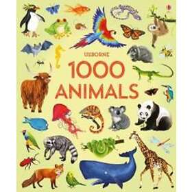 Jessica Greenwell: 1000 Animals