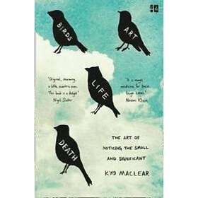 Kyo MacLear: Birds Art Life Death