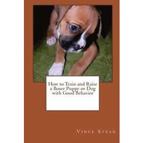 Vince Stead: How to Train and Raise a Boxer Puppy or Dog with Good Behavior
