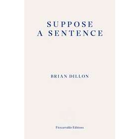Brian Dillon: Suppose a Sentence
