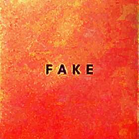 Die Nerven Fake LP