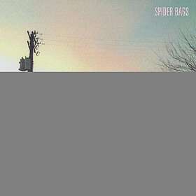 Bags Someday Everything Will Be Fine LP