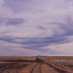 100 Mile House Love And Leave You LP