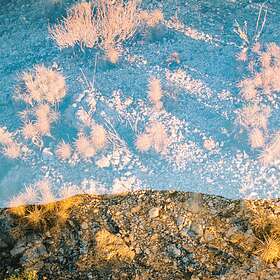 Moon Gangs Earth Loop LP