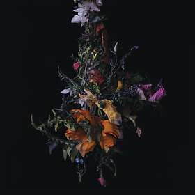Brave Nature Morte LP