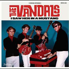 The Vandals (60s) I Saw Her In A LP