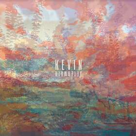 Kevin Aftermath LP