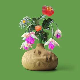 Elephant Gym Dreams Limited Edition LP