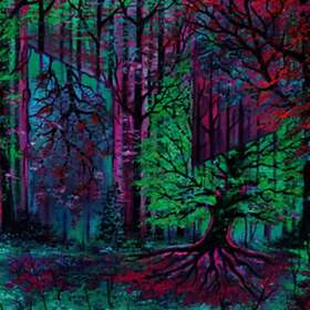 Ashbringer - Absolution LP