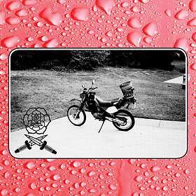 Bass Drum Of Death Say I Won't Limited Edition LP