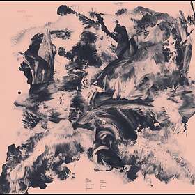 Barnett & Coloccia Third Wilderness LP