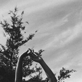 Folly & The Hunter Remains LP