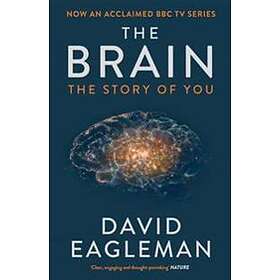 David Eagleman: The Brain