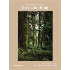 Julia Plevin: The Healing Magic of Forest Bathing