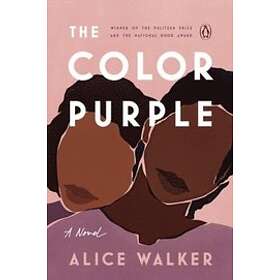 Alice Walker: Color Purple