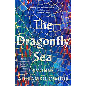 Yvonne Adhiambo Owuor: The Dragonfly Sea