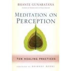 Henepola Gunaratana: Meditation on Perception