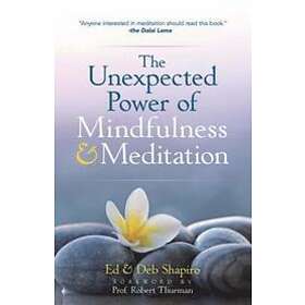 Ed Shapiro: The Unexpected Power of Mindfulness and Meditation