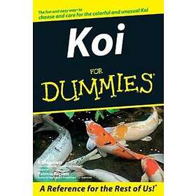 RD Bartlett: Koi For Dummies