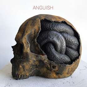 Anguish (Dälek+Mats Gustafsson+Andreas Werliin (Fire! Orchestra)/Joachim Irmler (Faust) LP