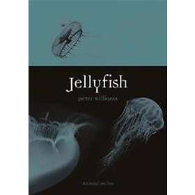 Peter Williams: Jellyfish