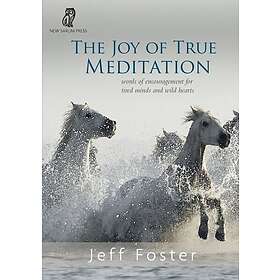 Jeff Foster: The joy of True Meditation