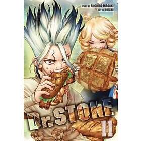 Riichiro Inagaki: Dr. STONE, Vol. 11