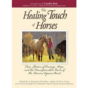 A Bronwyn Llewellyn: Healing Touch Of Horses