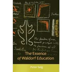 Peter Selg: The Essence of Waldorf Education