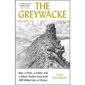 Nick Davidson: The Greywacke