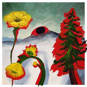 Woods Strange To Explain Limited Edition LP