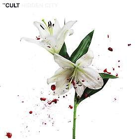The Cult Hidden City LP
