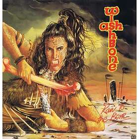 Ash Raw To The Bone LP