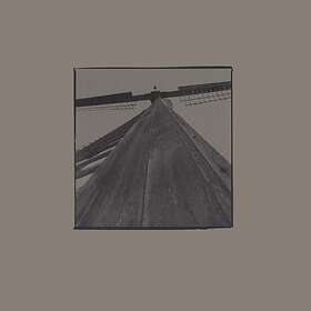 Red House Painters Beach/Shook Me LP