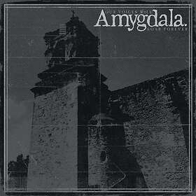 Amygdala Our Voices Will Soar LP