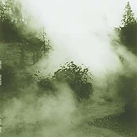 Siebe Swaying Steady LP
