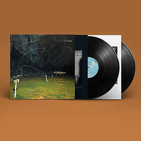 Yo La Tengo This Stupid World LP