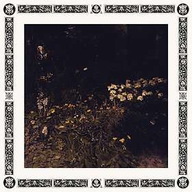 Sarah Davachi Pale LP