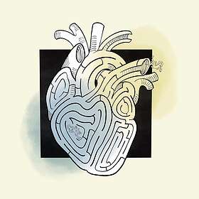 The Way Down Wanderers More Like LP