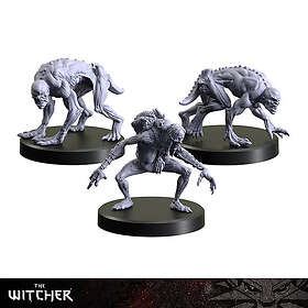 The Witcher RPG: Necrophages 3 - Grave Hag