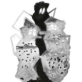 The Story About You LP