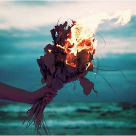 The Getter Premonition On LP