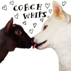 Coachwhips Bangers Vs Fuckers LP