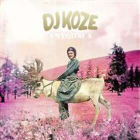 DJ Koze Amygdala LP