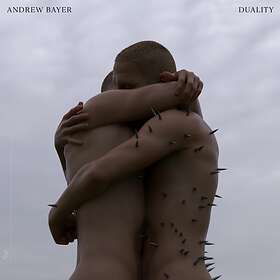 Andrew Duality LP