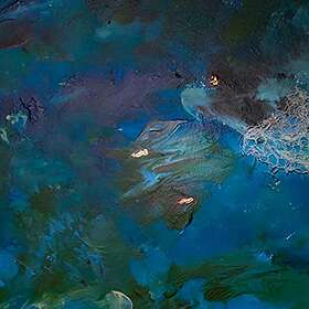 Oliver Earnest The Water Goes Other Way LP