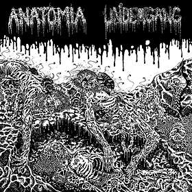 Undergang - Split LP
