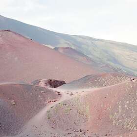 Blomfelt & Narby Peter, Barbara, Beth & LP