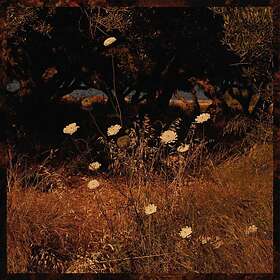 Szun Waves Earth Patterns Limited Edition LP